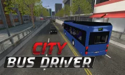 City Bus Driver