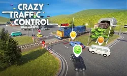 Crazy Traffic Control